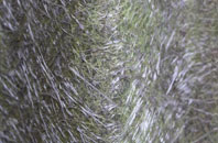 Isleham fibreglass roof work